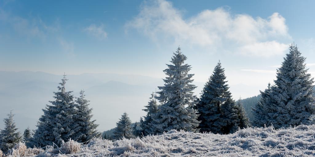 Penzion Ladoven Skvela Kuchyna A Rodinna Atmosfera Martin Exterior foto